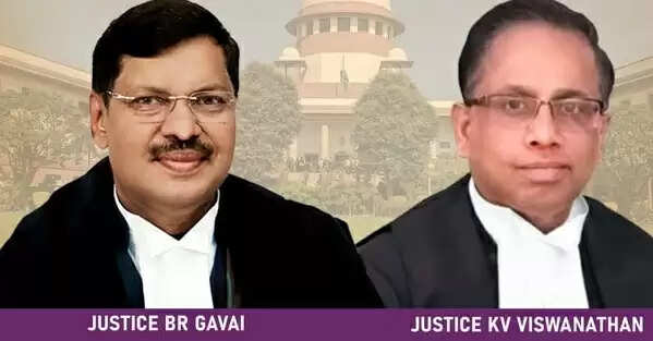 Bail with excessive conditions is no bail: Supreme Court